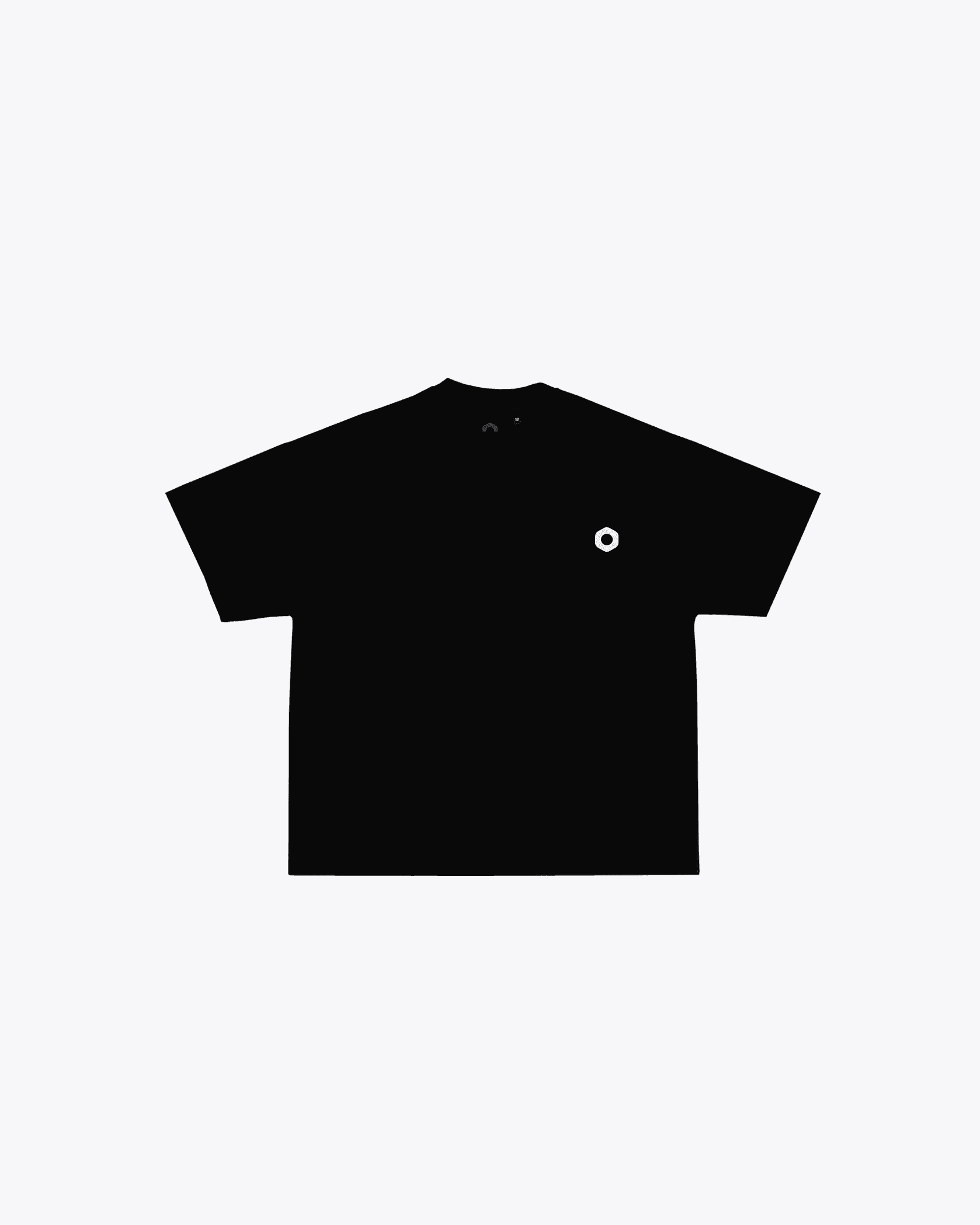 Sample Plain T-Shirt